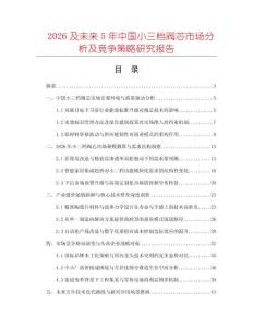 2026及未來5年中國小三檔閥芯市場分析及競爭策略研究報告