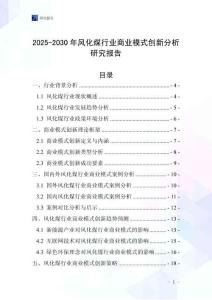 2025-2030年风化煤行业商业模式创新分析研究报告