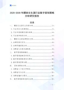 2025-2030年醴泉長生酒行業(yè)數(shù)字營銷策略分析研究報告
