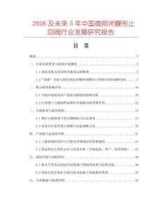 2026及未來5年中國微陰閉蝶形止回閥行業發展研究報告