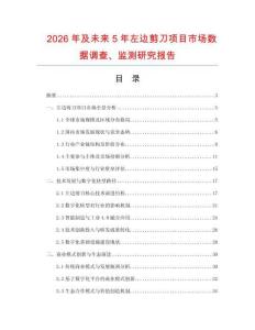 2026年及未來5年左邊剪刀項目市場數據調查、監測研究報告