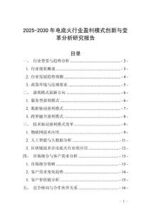2025-2030年電底火行業(yè)盈利模式創(chuàng)新與變革分析研究報(bào)告