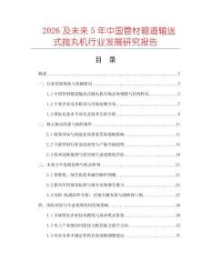 2026及未來5年中國管材輥道輸送式拋丸機(jī)行業(yè)發(fā)展研究報(bào)告