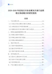 2025-2030年在線支付安全解決方案行業跨境出海戰略分析研究報告