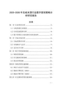 2025-2030年石岐米酒行業數字營銷策略分析研究報告
