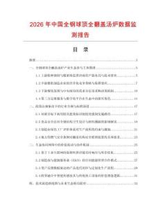 2026年中國全鋼球頂全翻蓋湯爐數據監測報告