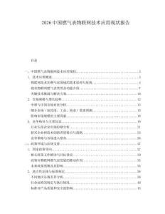 2026中國燃氣表物聯網技術應用現狀報告