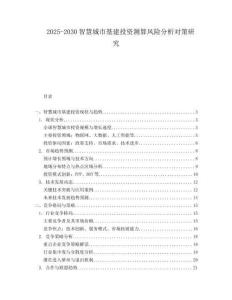 2025-2030智慧城市基建投資測算風(fēng)險分析對策研究