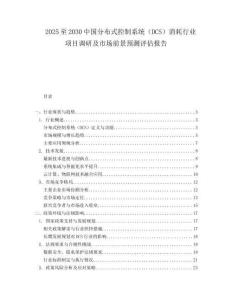 2025至2030中国分布式控制系统（DCS）消耗行业项目调研及市场前景预测评估报告