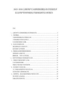 2025-2030公路養護行業橋梁檢測技術應用現狀評估及養護管理智能化升級規劃研究分析報告