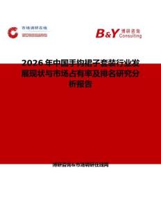 2026年中國手鉤裙子套裝行業(yè)發(fā)展現(xiàn)狀與市場占有率及排名研究分析報告