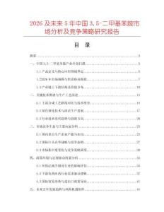 2026及未來(lái)5年中國(guó)35-二甲基苯胺市場(chǎng)分析及競(jìng)爭(zhēng)策略研究報(bào)告