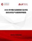2026年中国大波浪假发行业市场动态分析及产业前景研判报告
