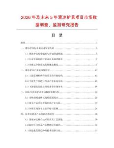 2026年及未來5年滑冰護(hù)具項(xiàng)目市場數(shù)據(jù)調(diào)查、監(jiān)測研究報告