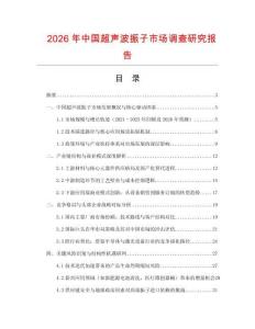 2026年中国超声波振子市场调查研究报告