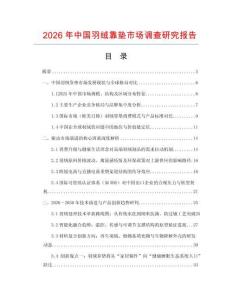 2026年中國羽絨靠墊市場調查研究報告
