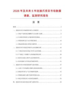 2026年及未來5年連接爪項目市場數據調查、監測研究報告