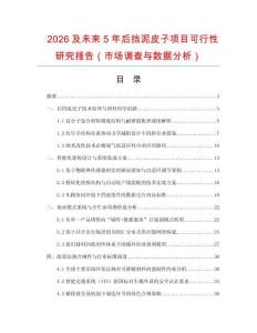 2026及未來(lái)5年后擋泥皮子項(xiàng)目可行性研究報(bào)告（市場(chǎng)調(diào)查與數(shù)據(jù)分析）