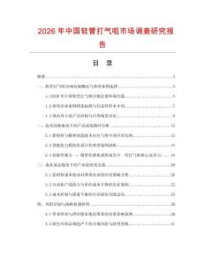2026年中國軟管打氣咀市場調(diào)查研究報告