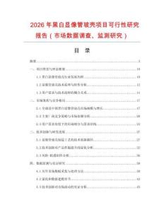 2026年黑白顯像管玻殼項(xiàng)目可行性研究報(bào)告（市場數(shù)據(jù)調(diào)查、監(jiān)測研究）