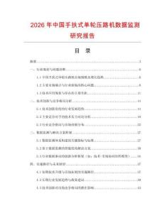 2026年中國(guó)手扶式單輪壓路機(jī)數(shù)據(jù)監(jiān)測(cè)研究報(bào)告
