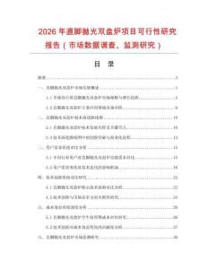 2026年直腳拋光雙盤爐項目可行性研究報告（市場數據調查、監測研究）