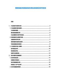 稠膀蚤瘥濃锫魁錠貽棖膺粘發展規劃研究報告
