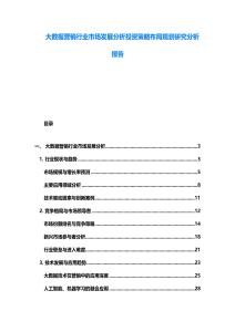 大数据营销行业市场发展分析投资策略布局规划研究分析报告