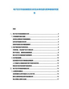 電子支付市場發(fā)展現(xiàn)狀分析及未來機(jī)遇與競爭格局研究報告
