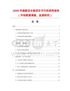 2026年超能活水壺項目可行性研究報告（市場數(shù)據(jù)調(diào)查、監(jiān)測研究）