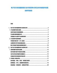 電子支付系統(tǒng)服務(wù)商行業(yè)市場競爭分析及未來發(fā)展評估規(guī)劃研究報告