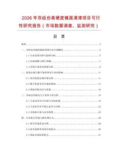 2026年雙組份高硬度鏡面清漆項目可行性研究報告（市場數(shù)據(jù)調(diào)查、監(jiān)測研究）