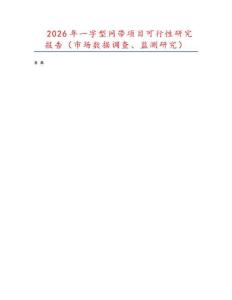 2026年一字型網帶項目可行性研究報告（市場數據調查、監測研究）
