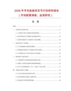 2026年羊毛墊被項目可行性研究報告（市場數據調查、監測研究）