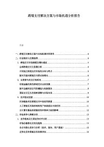 跨境支付解決方案與市場機遇分析報告