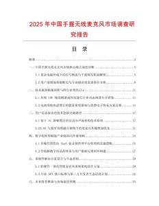 2025年中國手握無線麥克風(fēng)市場調(diào)查研究報(bào)告