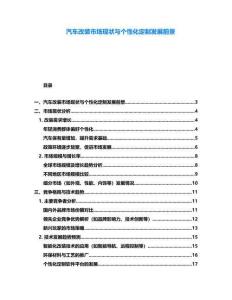 汽車(chē)改裝市場(chǎng)現(xiàn)狀與個(gè)性化定制發(fā)展前景