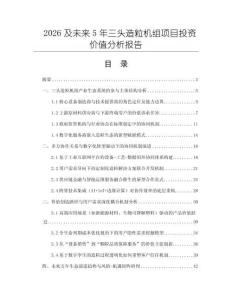 2026及未來5年三頭造粒機組項目投資價值分析報告