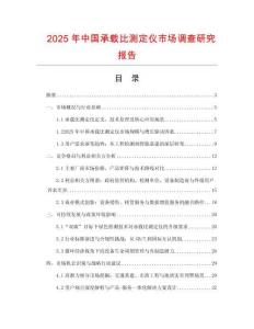 2025年中國承載比測定儀市場調(diào)查研究報告