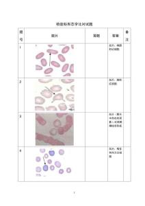 檢驗科形態學比對試題