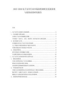 2025-2030電子支付行業市場深度調研及發展前景與投資前景研究報告