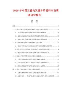 2025年中國五香肉漢堡專用調料市場調查研究報告