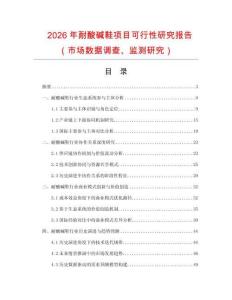 2026年耐酸堿鞋項目可行性研究報告（市場數據調查、監測研究）