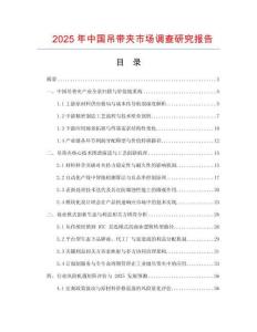 2025年中國(guó)吊帶夾市場(chǎng)調(diào)查研究報(bào)告
