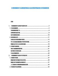 大數(shù)據(jù)服務(wù)行業(yè)數(shù)據(jù)挖掘企業(yè)應(yīng)用政策監(jiān)管分析組建報告