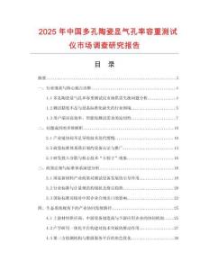 2025年中國多孔陶瓷顯氣孔率容重測試儀市場調查研究報告