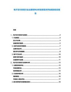 電子支付系統(tǒng)行業(yè)主要競爭分析投資需求評估規(guī)劃綜合報告