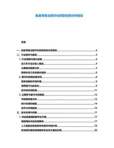 批发零售业数字化转型投资分析报告