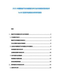 2025中國智能汽車傳感器元件行業(yè)市場現(xiàn)狀需求技術build投資評估規(guī)劃分析研究報告
