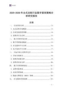 2025-2030年女式涼鞋行業數字營銷策略分析研究報告